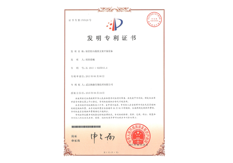 脉管腔内覆膜支架开窗设备